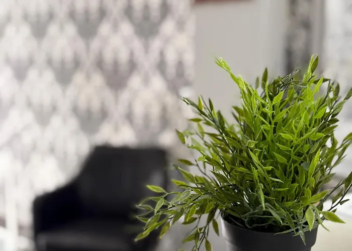 Hotel Hotel Bed&Breakfast Benidorm